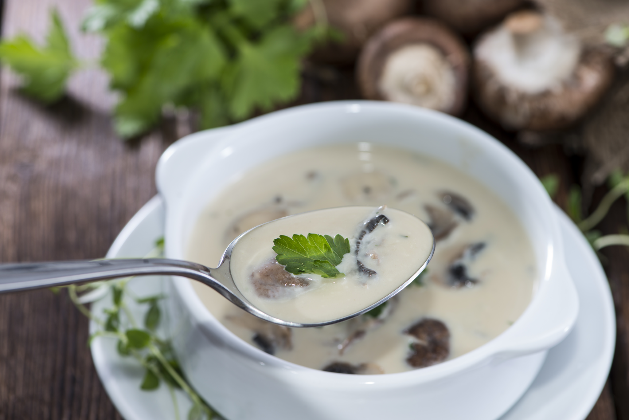 Picture of Mushroom Soup 